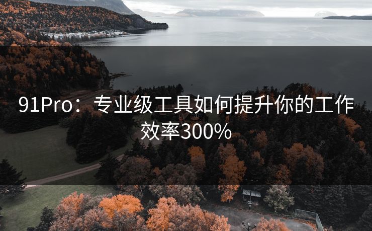91Pro：专业级工具如何提升你的工作效率300%