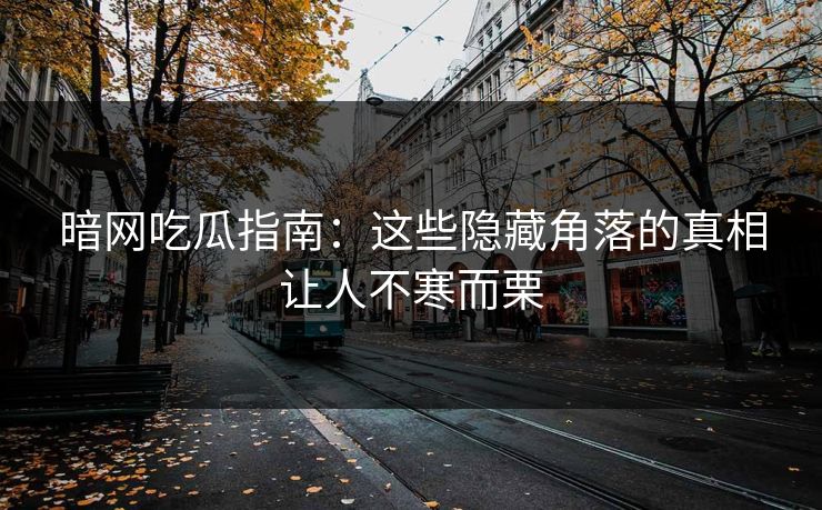 暗网吃瓜指南：这些隐藏角落的真相让人不寒而栗