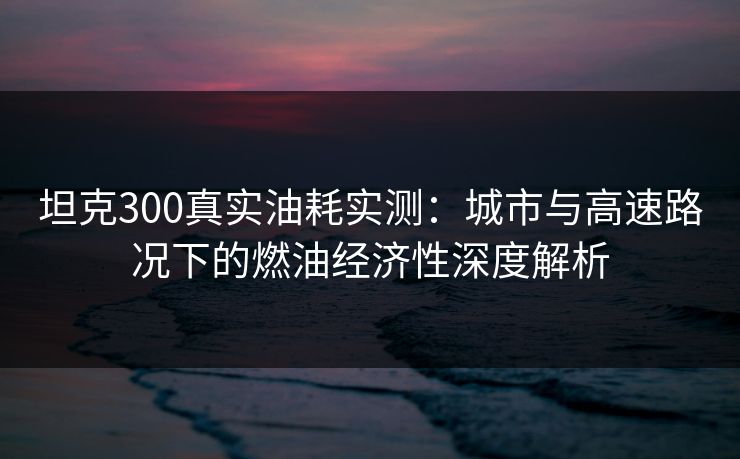 坦克300真实油耗实测：城市与高速路况下的燃油经济性深度解析
