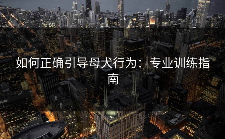 如何正确引导母犬行为：专业训练指南